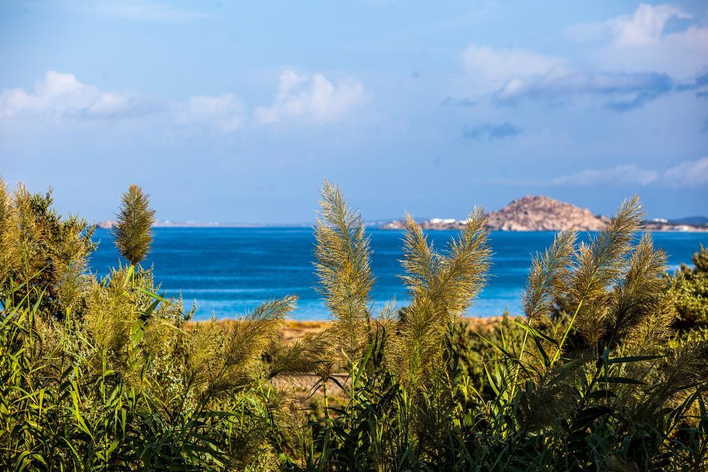 Villa Alyko Aliko Beach Exterior photo